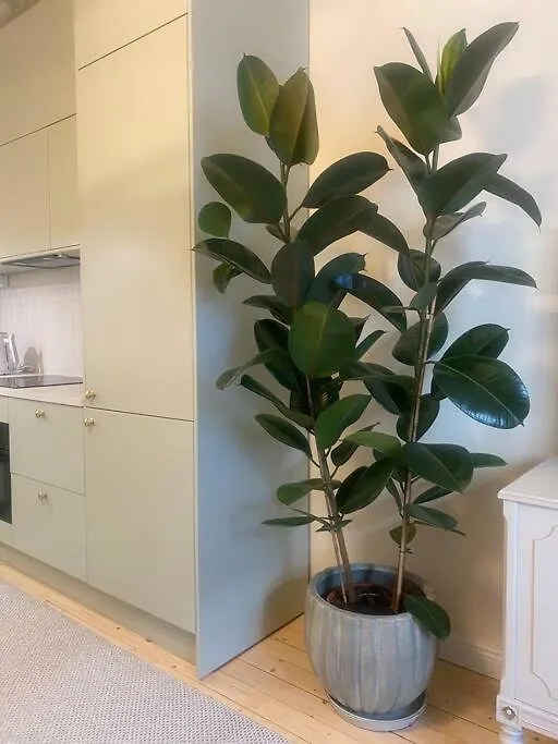Enchanting 1Br W/ King Bed In Unbeatable Location Helsinki Apartman